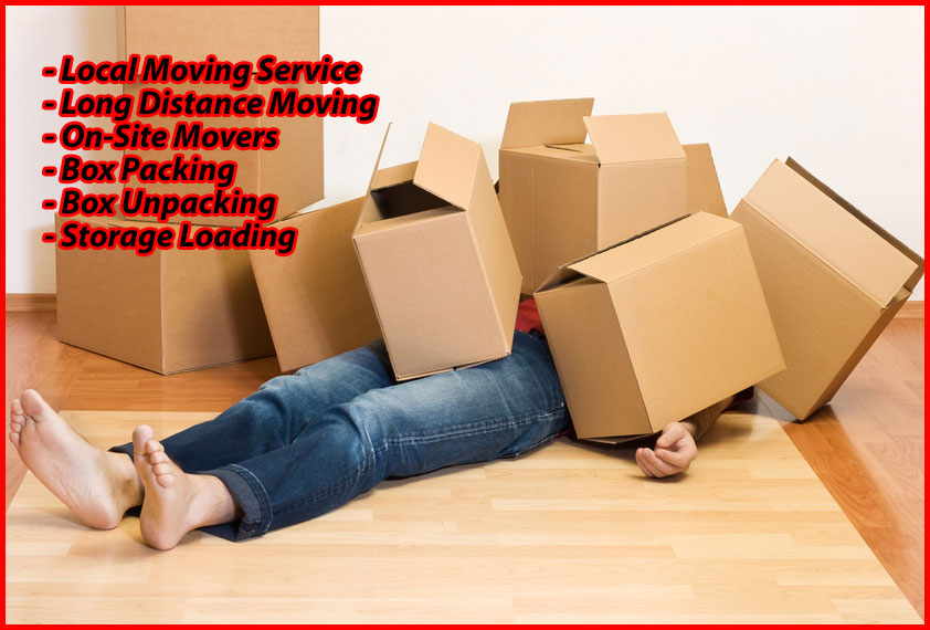 Packers And Movers Noida Sector 157